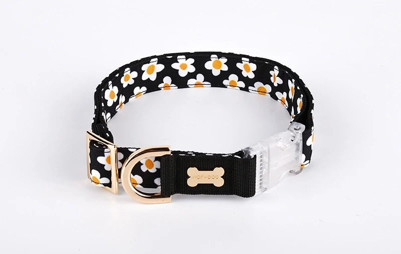 NORADOG Daisy Collar