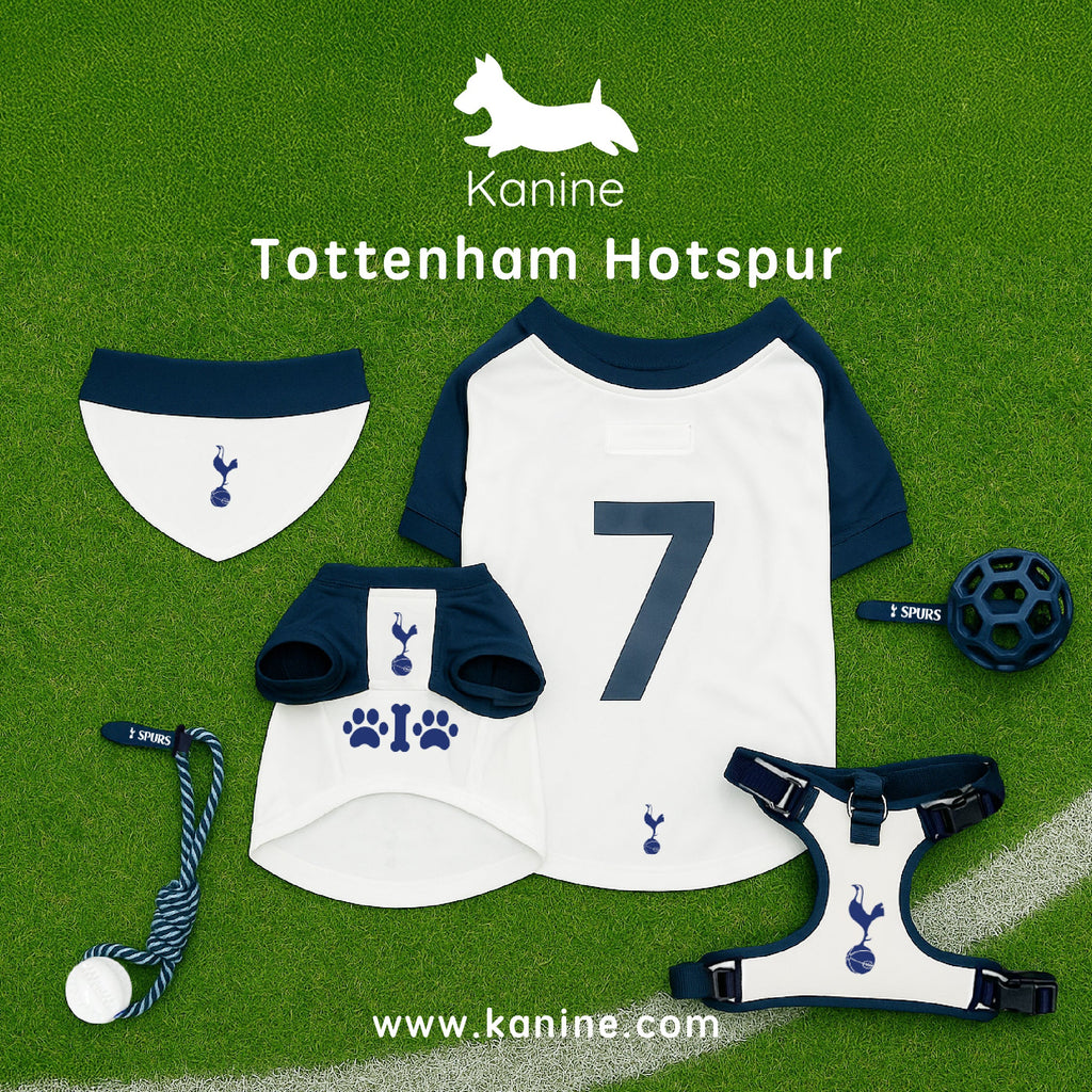 Spurs Easy-on Pet Harness