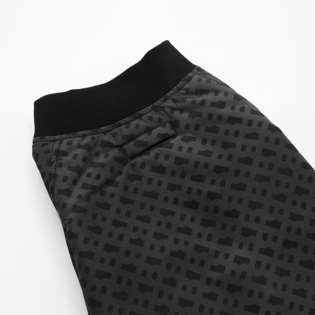 BOSS Dog Bomber Jacket — Luxury Padded Dog Jacket