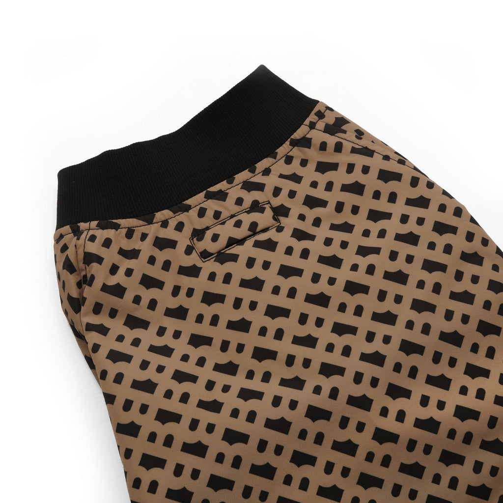 BOSS Dog Bomber Jacket — Luxury Padded Dog Jacket