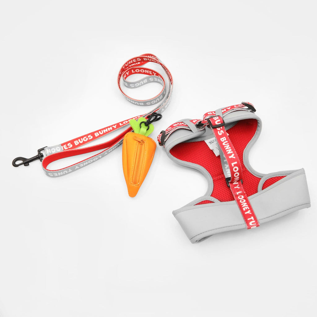 Bugs Bunny Harness and Leash Set