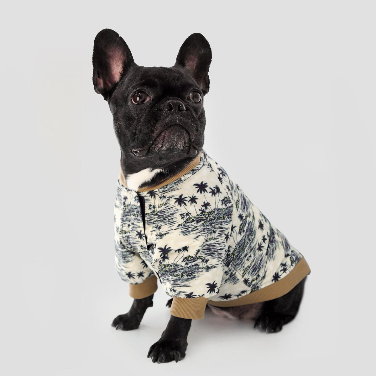 BOSS Dog Bomber Jacket — Luxury Padded Dog Jacket