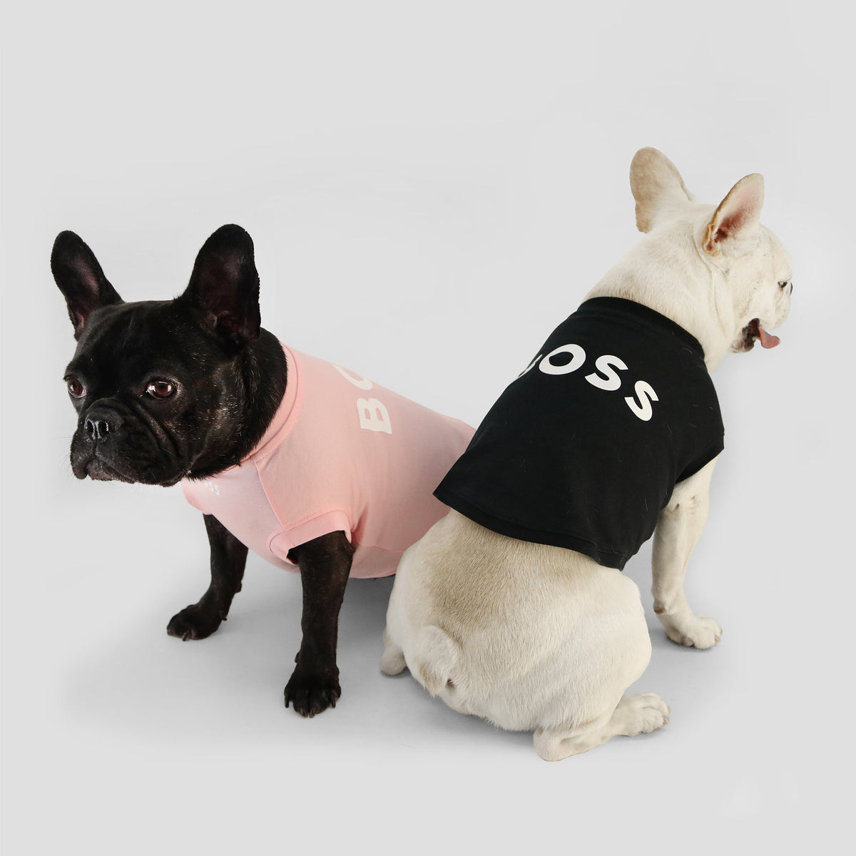 BOSS Dog Graphic Tee — Mercerised Cotton Dog T-Shirt