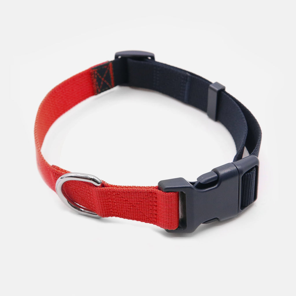 Tommy Hilfiger Webbing Dog Collar | Designer Dog Collar
