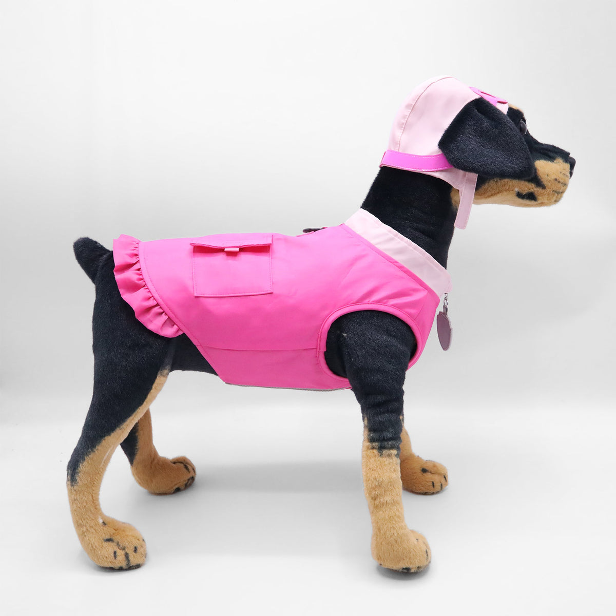 Dog Costume (Skye)
