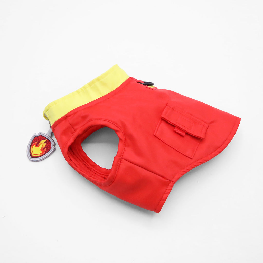 Dog Costume (Marshall)