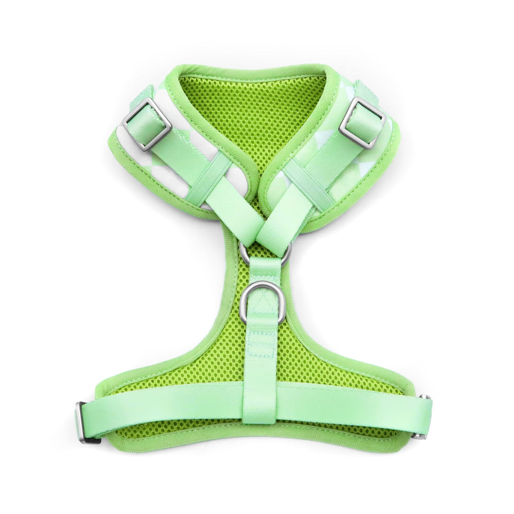 florence by mills Print Harness for Dogs