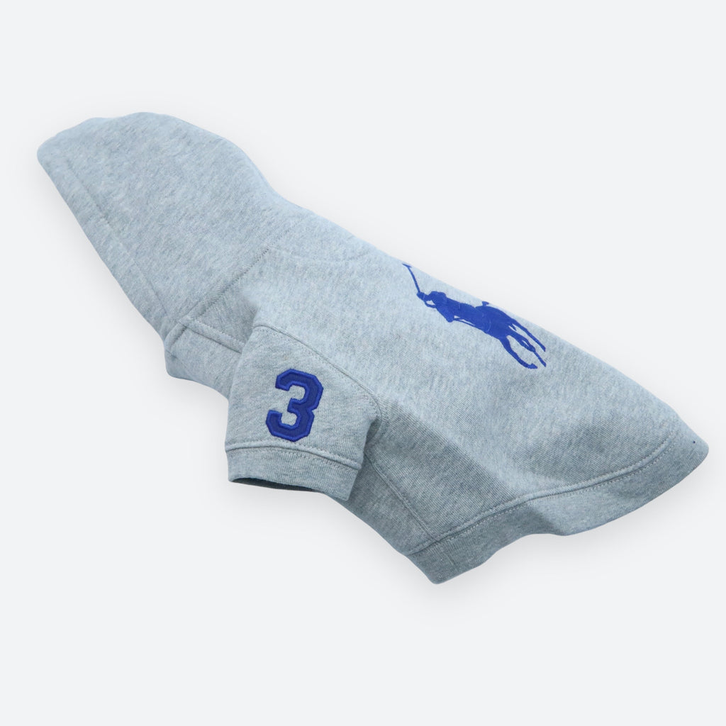 Polo Ralph Lauren Big-Pony Fleece Dog Hoodie