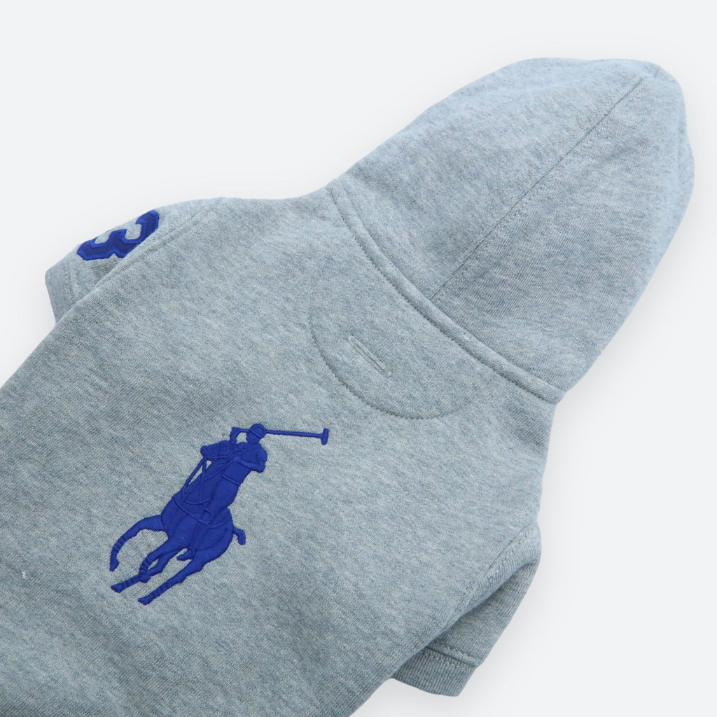 Polo Ralph Lauren Big-Pony Fleece Dog Hoodie
