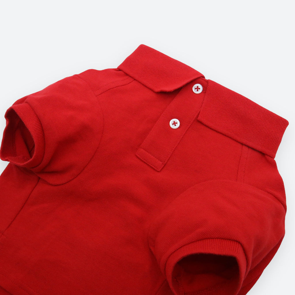 Polo Ralph Lauren Big-Pony Mesh Dog Polo Shirt