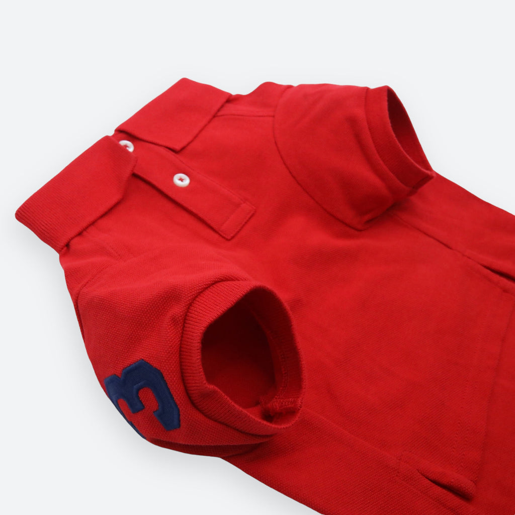 Polo Ralph Lauren Big-Pony Mesh Dog Polo Shirt