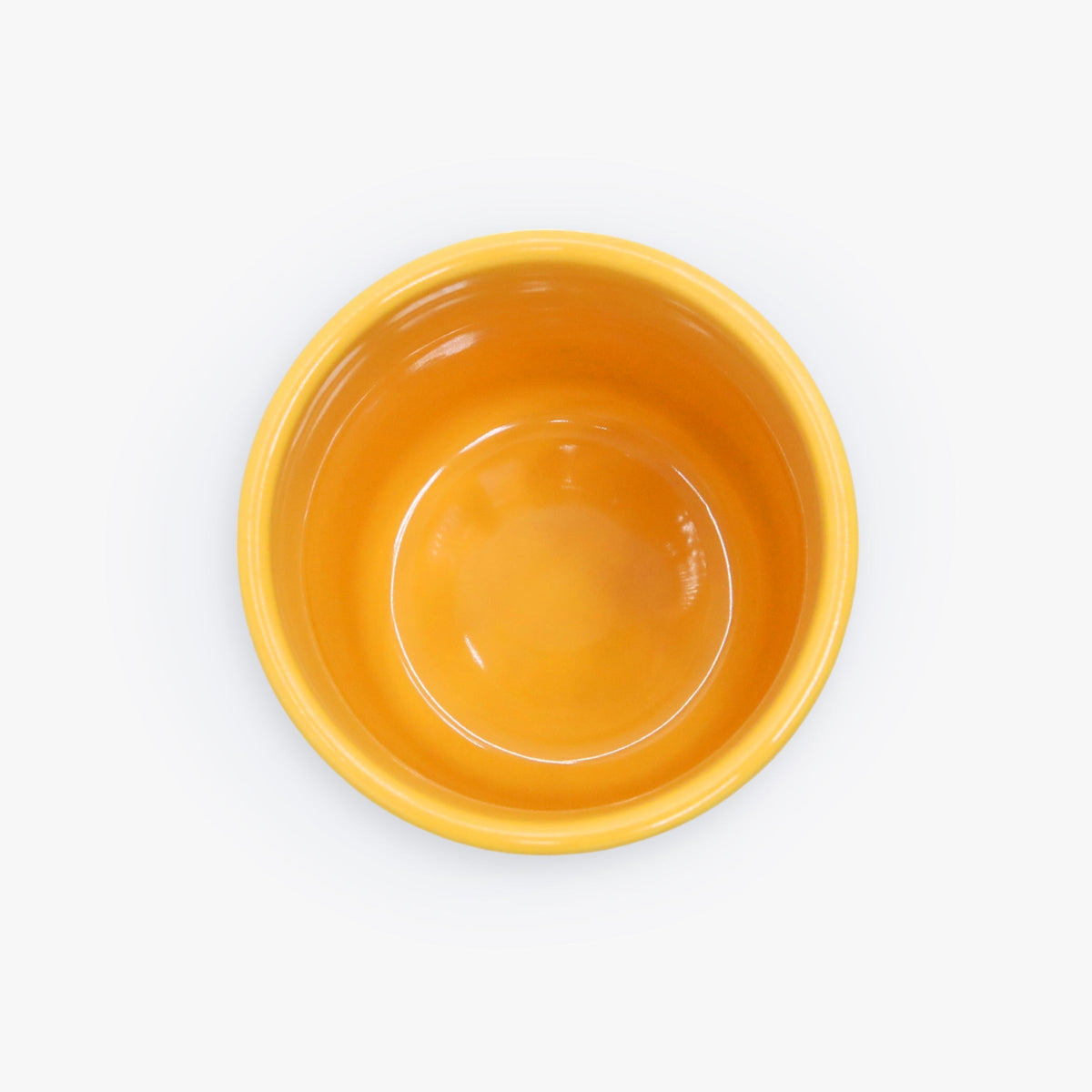 Polo Ralph Lauren Dog Treats Jar