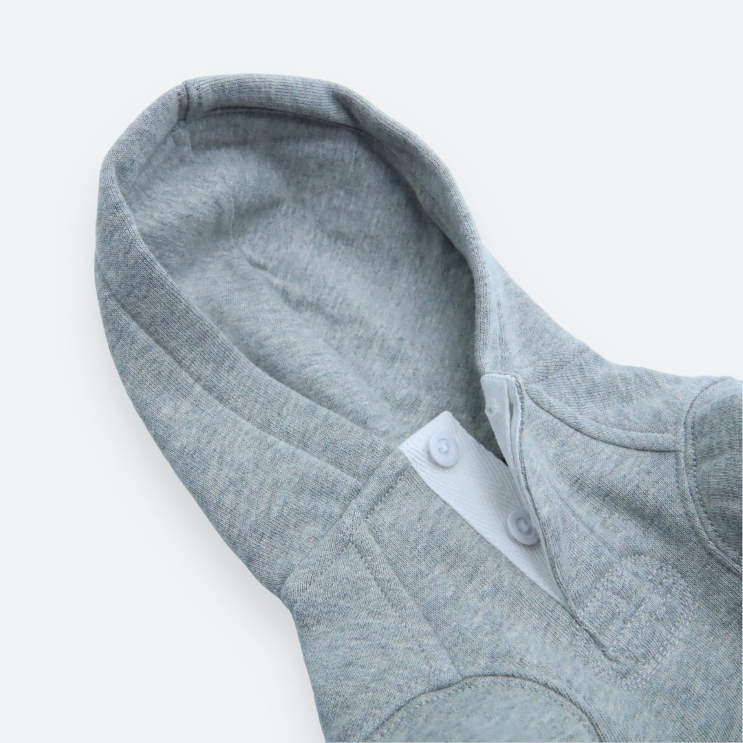 Polo Ralph Lauren Big-Pony Fleece Dog Hoodie