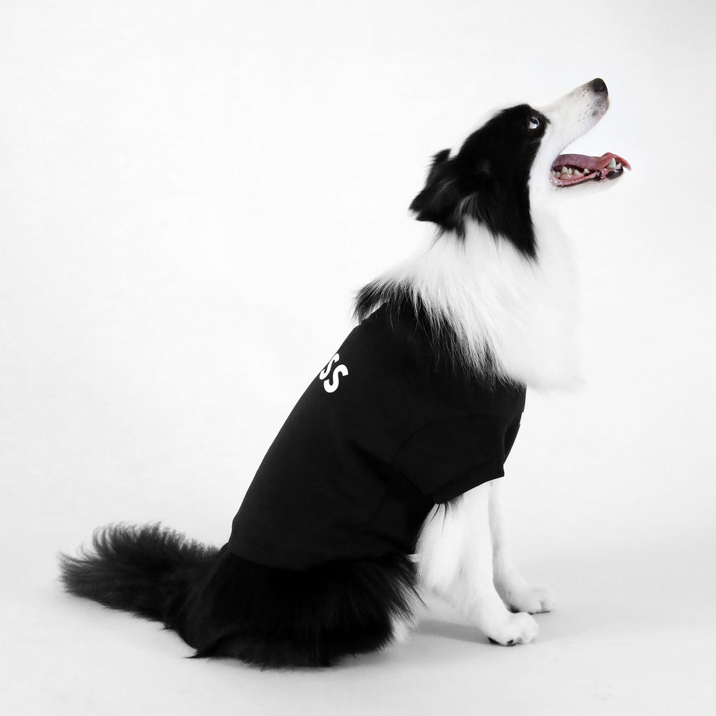 Dog Essentials Short Sleeve Crewneck