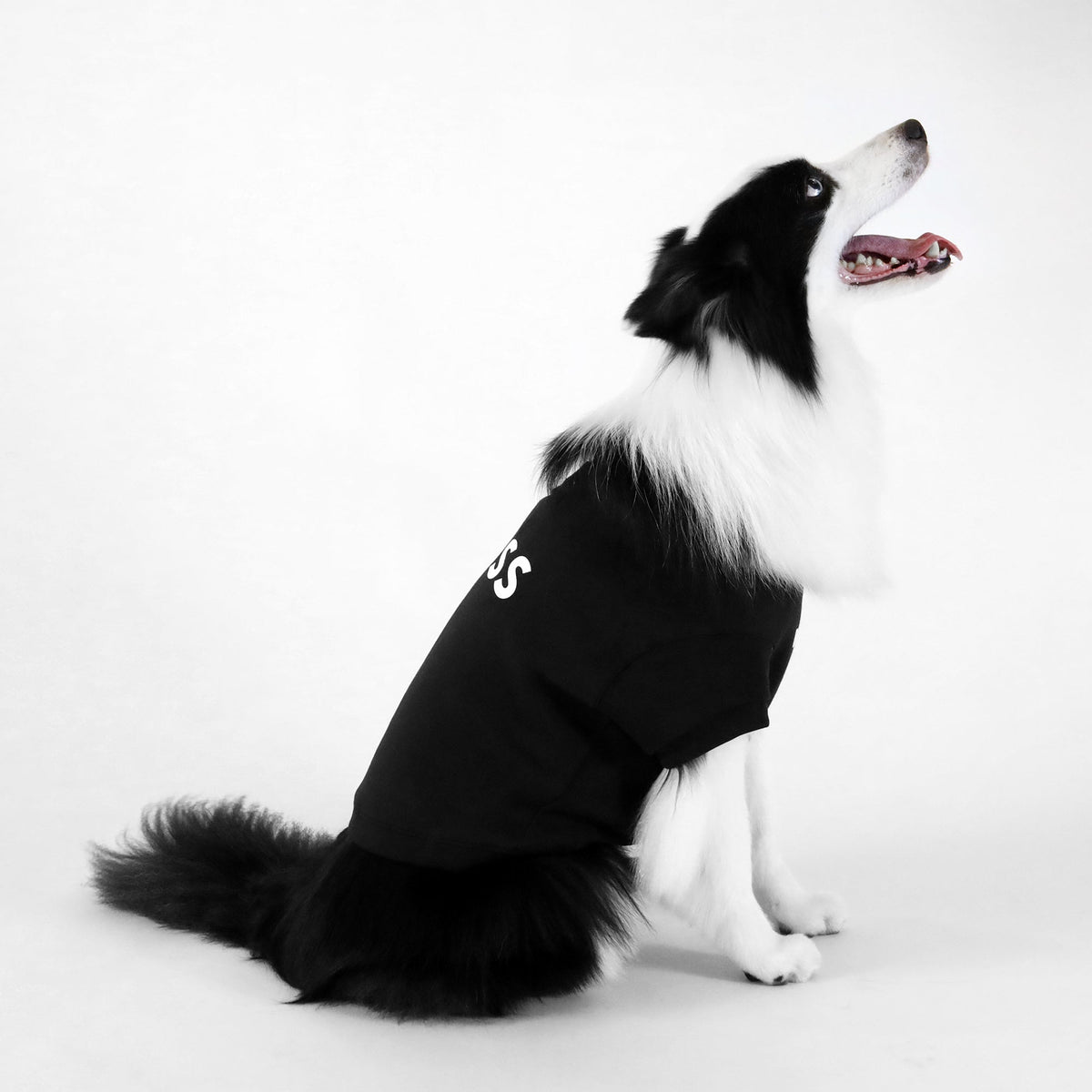 Dog Essentials Short Sleeve Crewneck