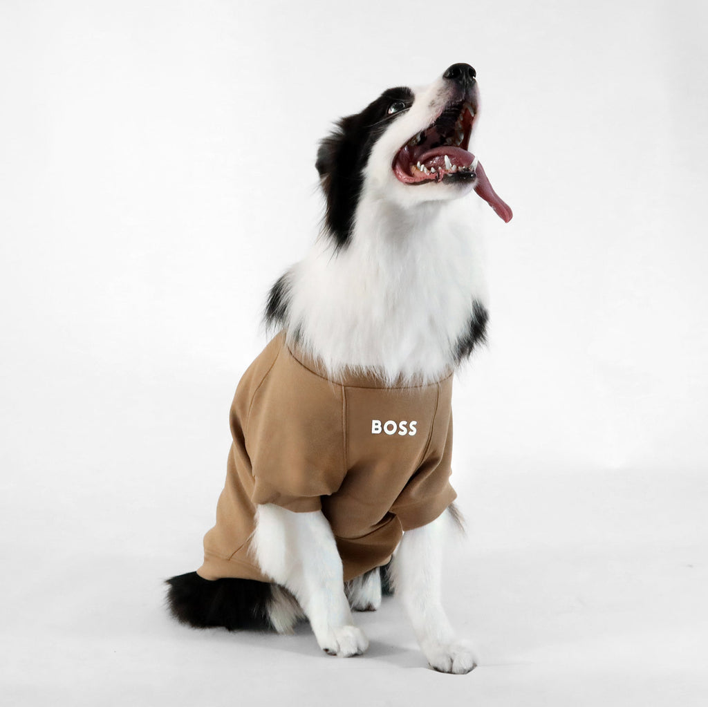 Dog Essentials Cotton Sweater