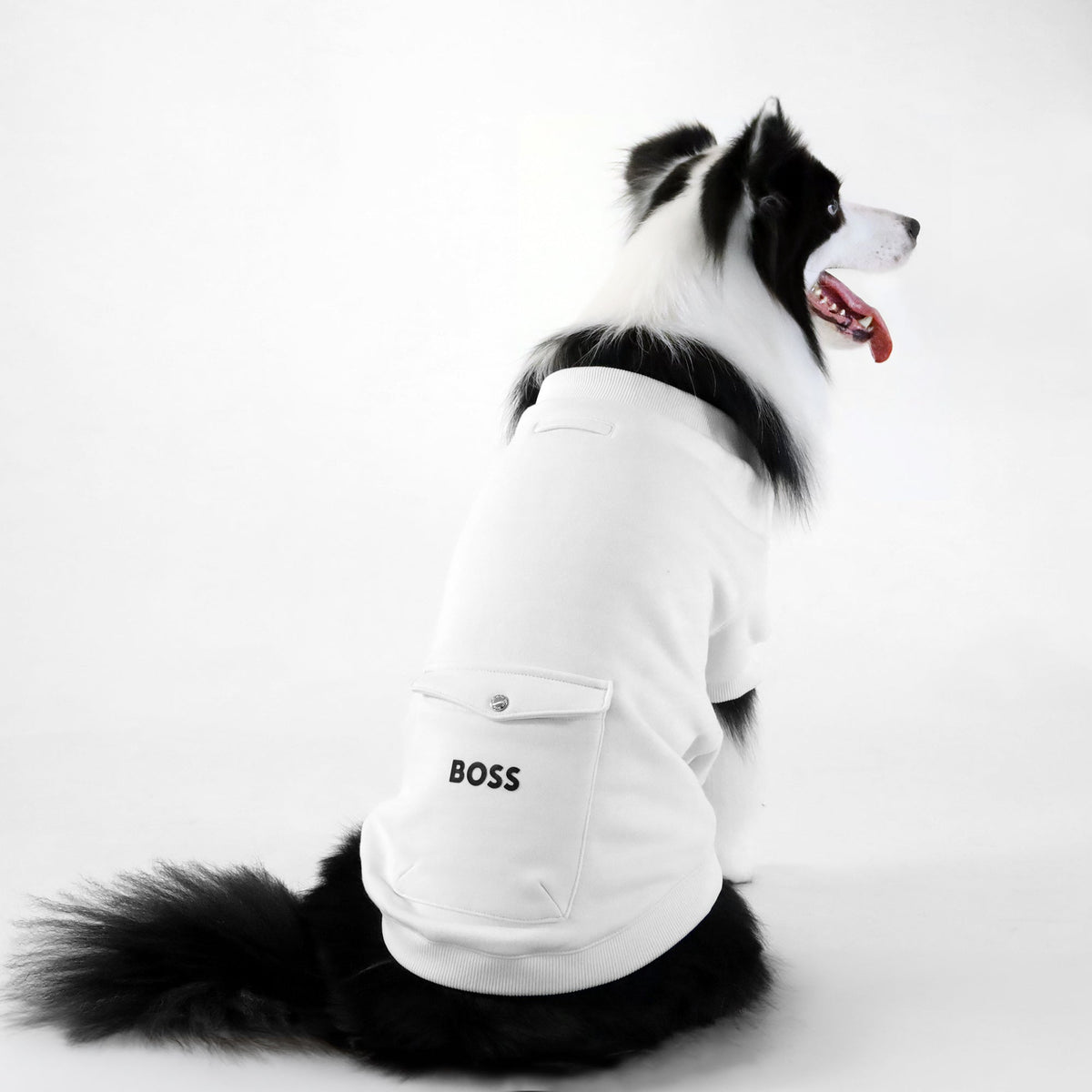 BOSS Dog Short Sleeve Crewneck — Cotton Blend Dog Sweatshirt
