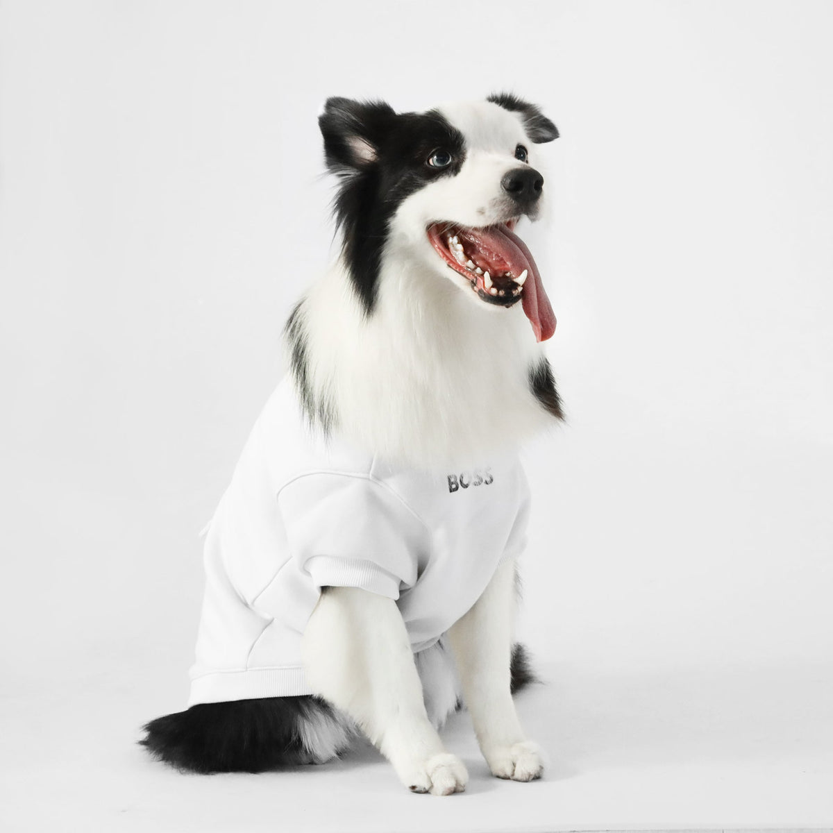 BOSS Dog Short Sleeve Crewneck — Cotton Blend Dog Sweatshirt