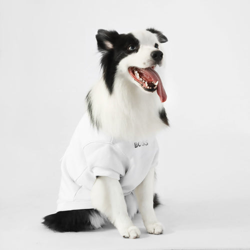 BOSS Dog Short Sleeve Crewneck — Cotton Blend Dog Sweatshirt