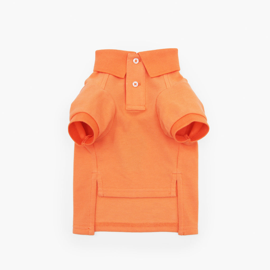 Polo Ralph Lauren Dogs-Polo Bear Shirt