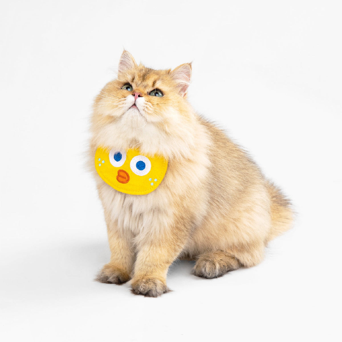 Pet Bib Collar
