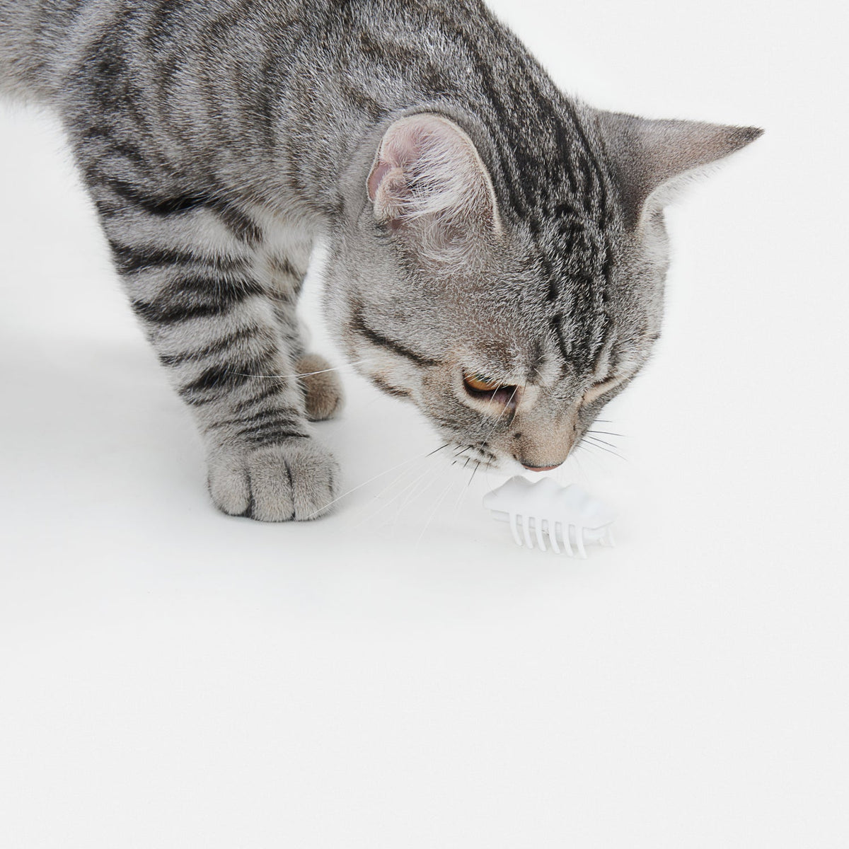 Electronic Cat Teasing Toy - Little Snow Elf