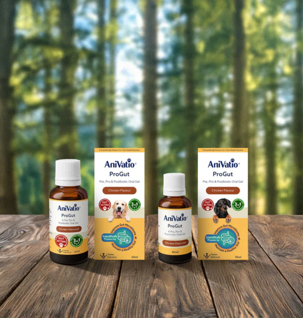 AniVatio ProGut Oral Gel for Dogs | Chicken Flavour | Gut, Immunity & Coat