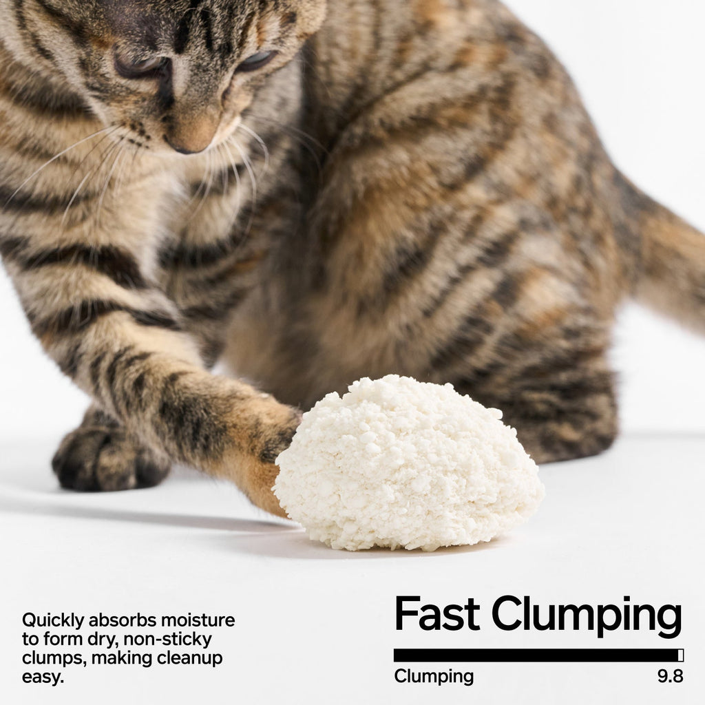 Cassava Cat Litter