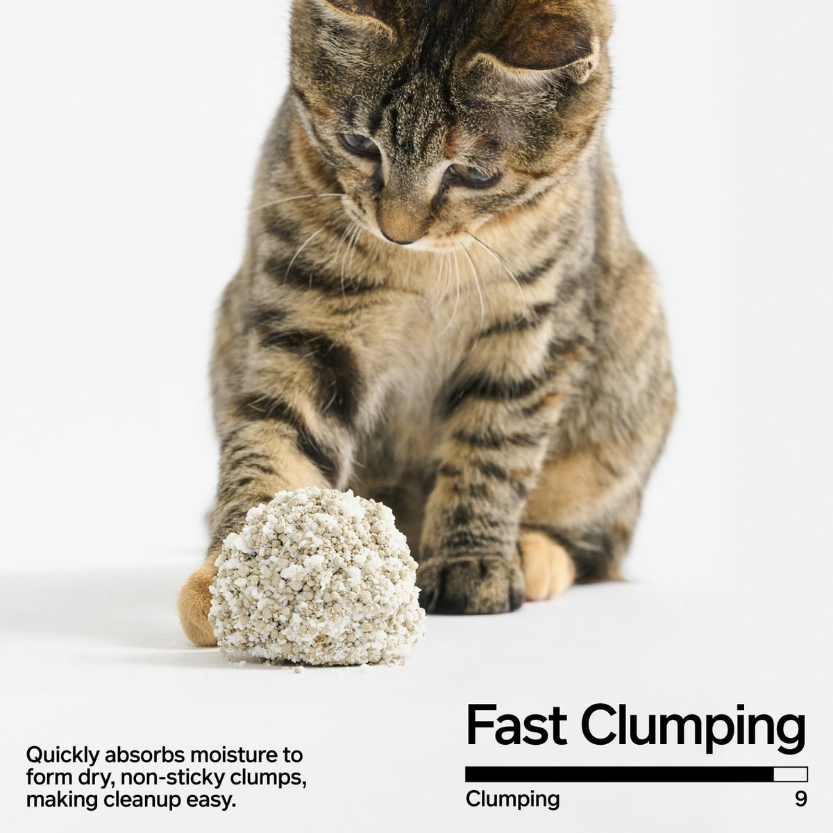 Cassava & Bentonite Cat Litter