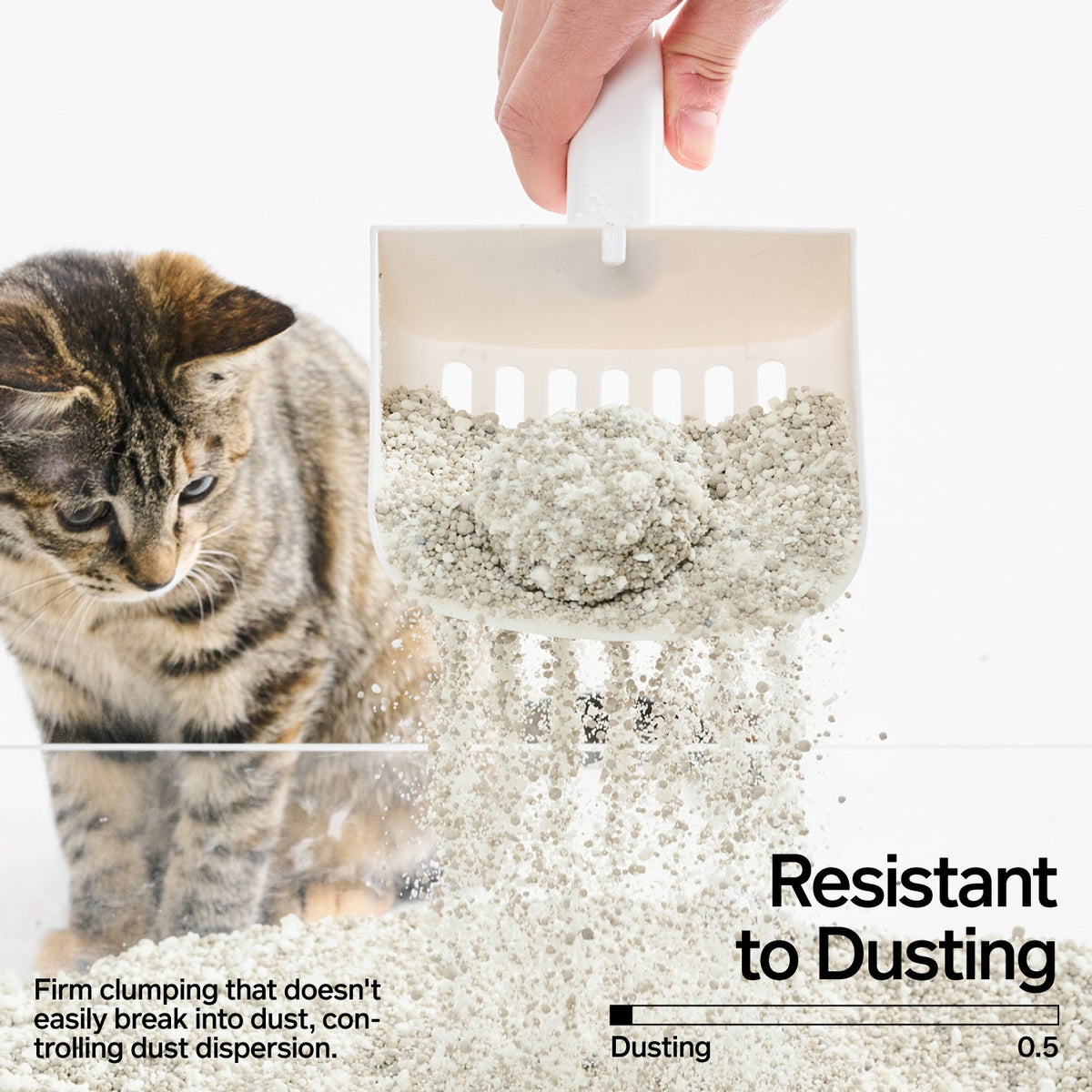 Cassava & Bentonite Cat Litter