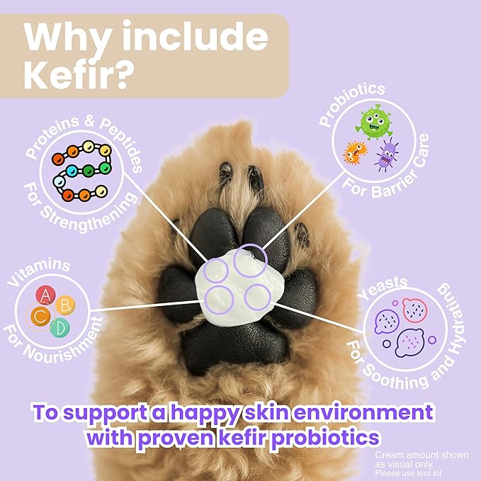 NIHON KEFIA Kefir Probiotic Paw Pad Cream 50g | Lick-Safe | Made in Japan