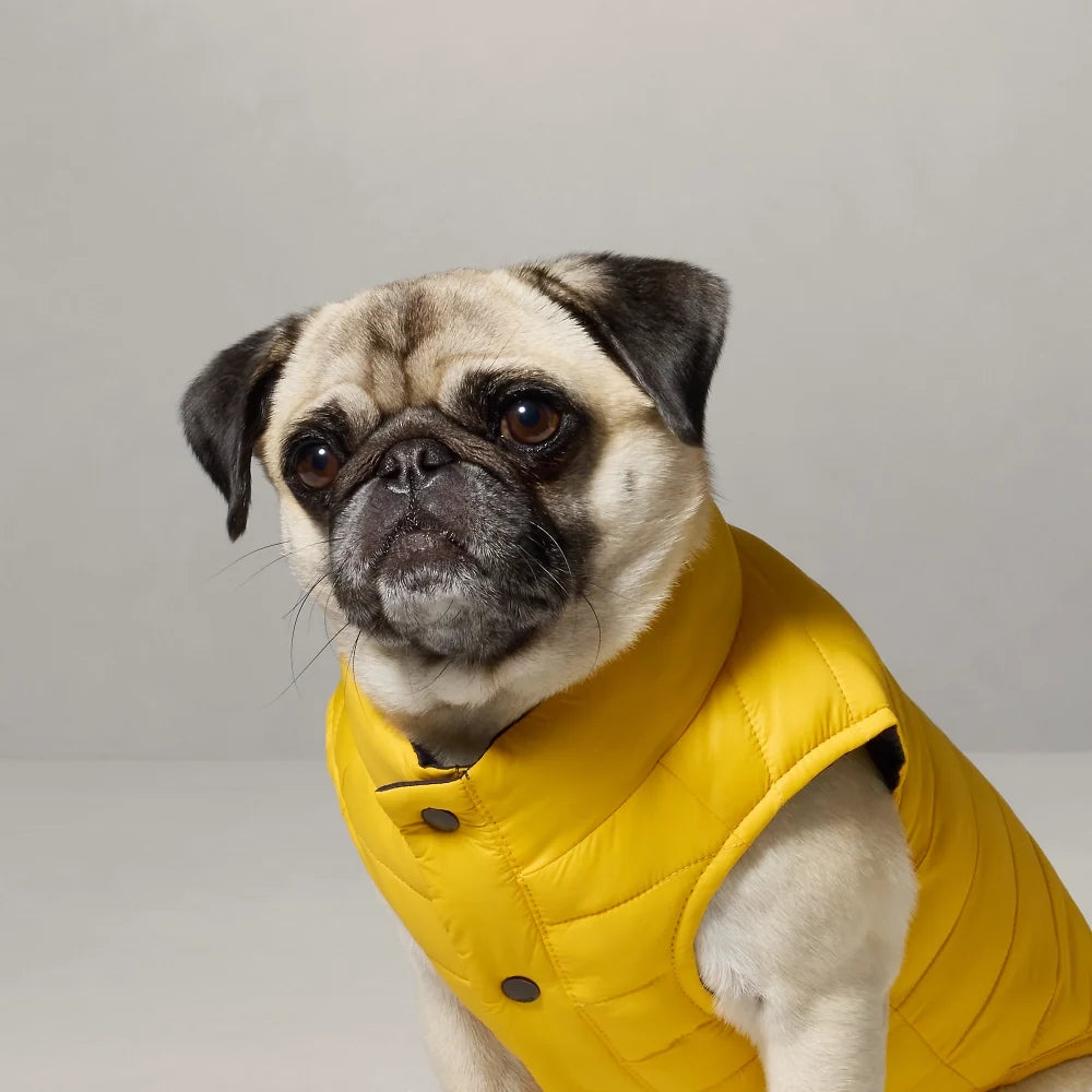Polo Ralph Lauren Dog-Reversible Spring Puffer Jacket