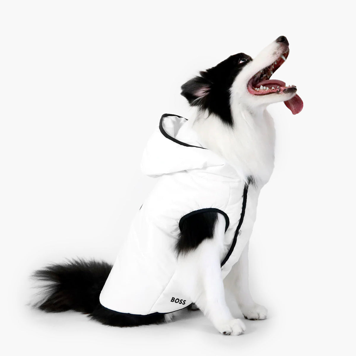 BOSS Dog Essentials Vest — Premium Polyester Dog Vest