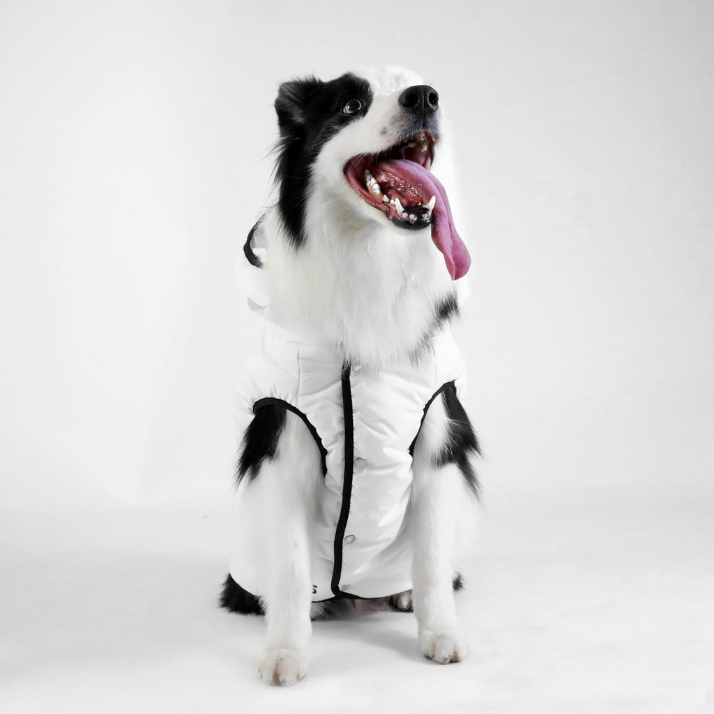 BOSS Dog Essentials Vest — Premium Polyester Dog Vest