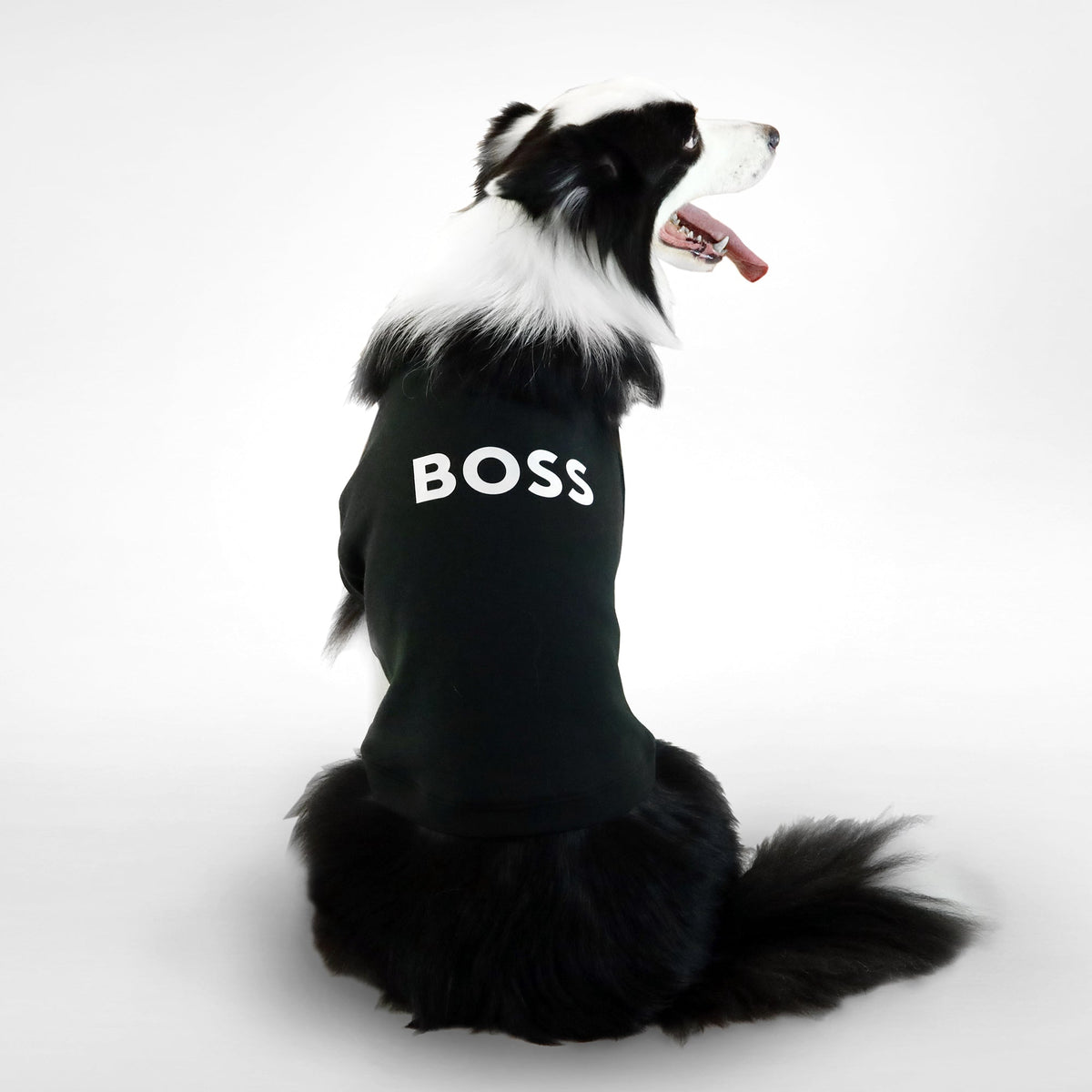 Dog Essentials Cotton Sweater
