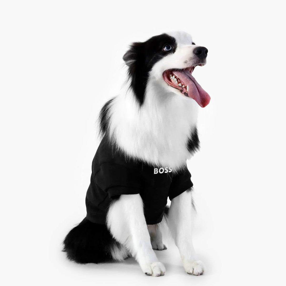 Dog Essentials Cotton Sweater