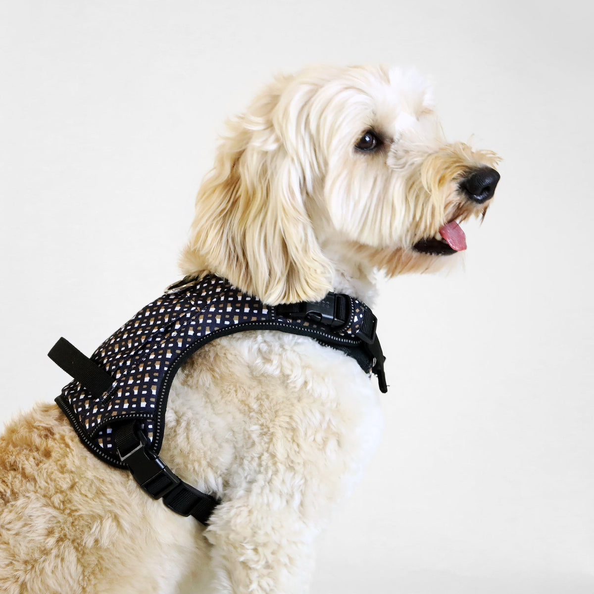BOSS Dog Harness — 4-Way Adjustable Dog Harness with Zipper Pocket