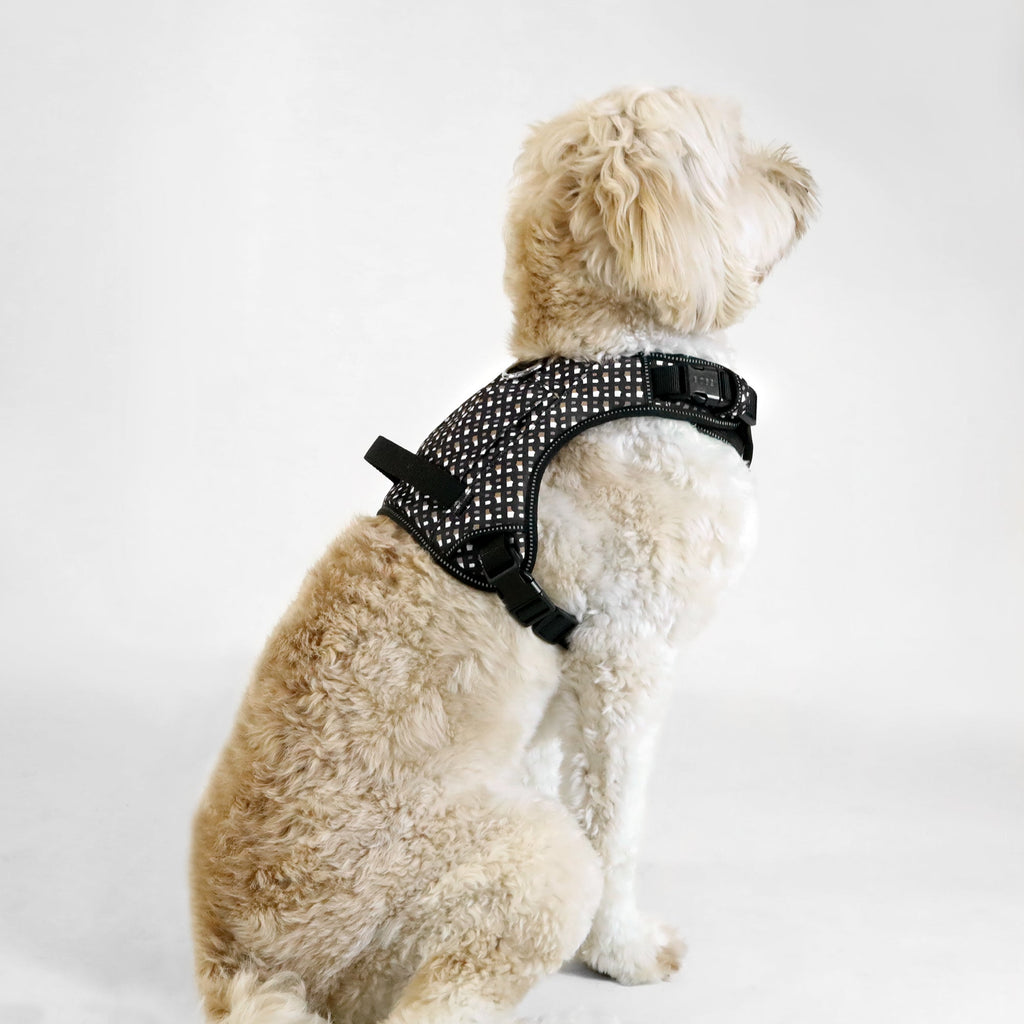 BOSS Dog Harness — 4-Way Adjustable Dog Harness with Zipper Pocket