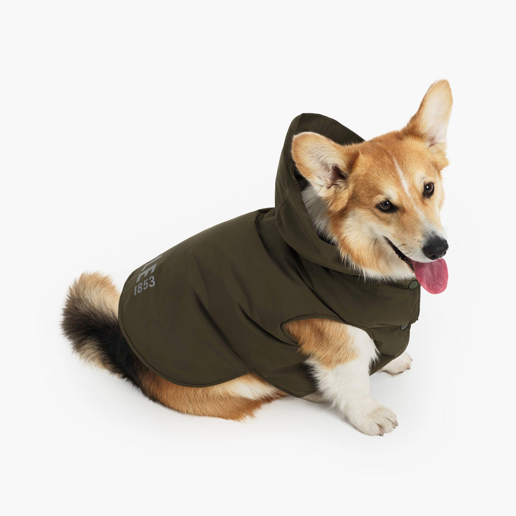 Aigle Pet RainPack Warm