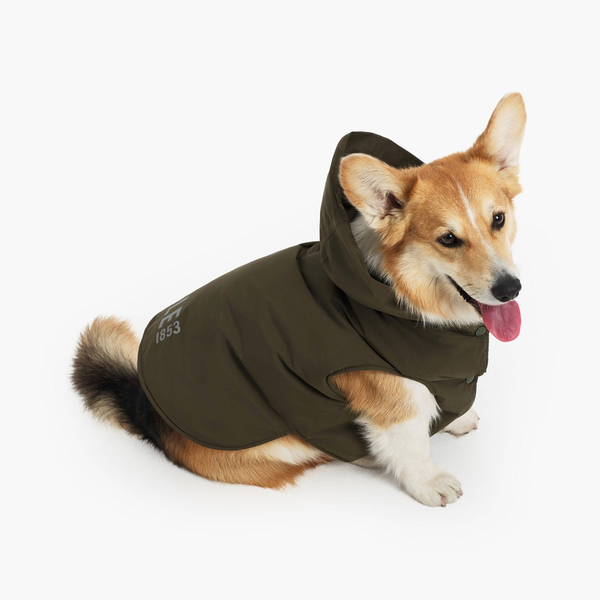 Aigle Pet RainPack Warm