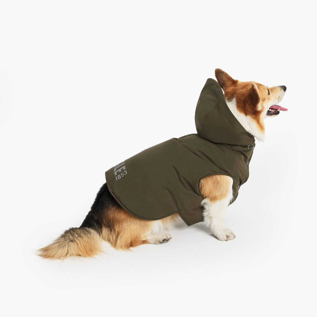 Aigle Pet RainPack Warm