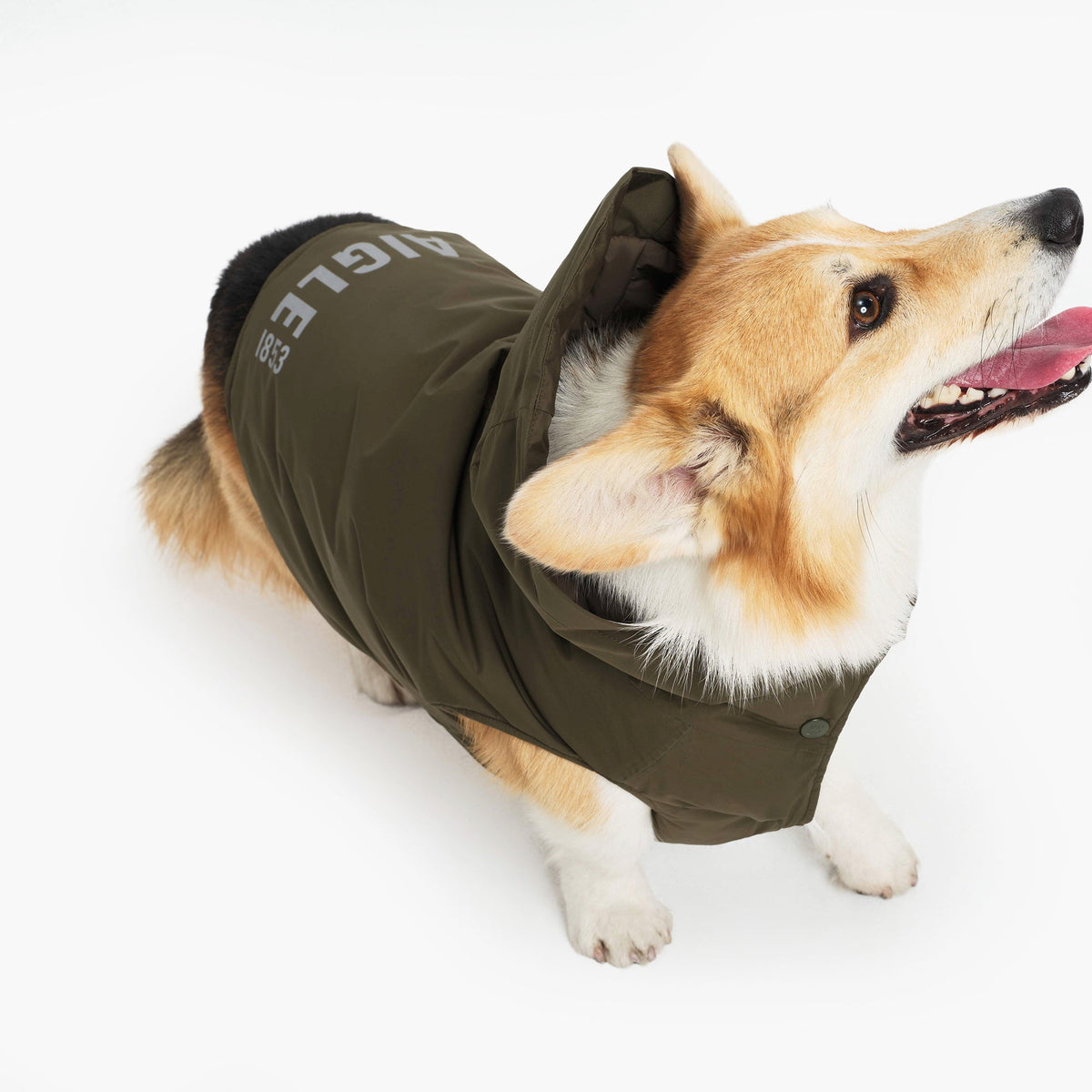 Aigle Pet RainPack Warm