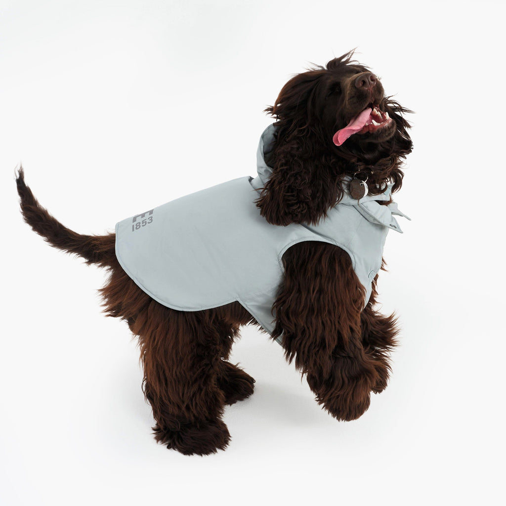 Aigle Pet RainPack Warm