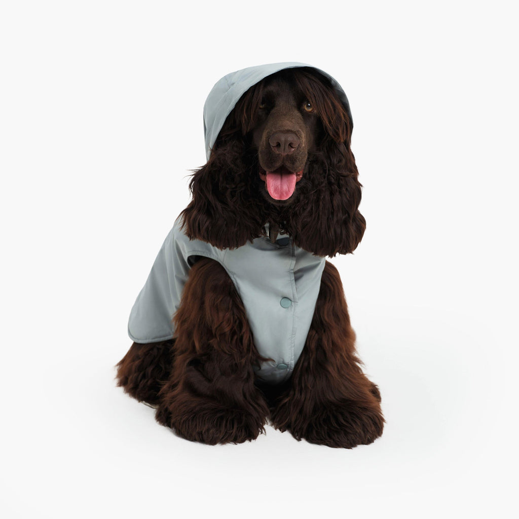 Aigle Pet RainPack Warm