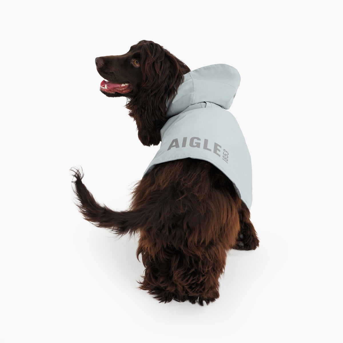 Aigle Pet RainPack Warm