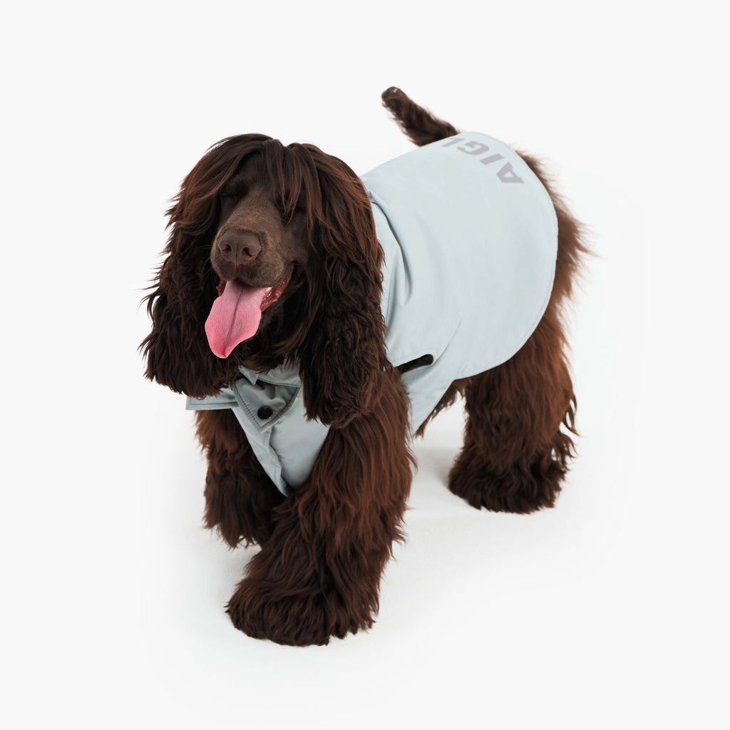 Aigle Pet RainPack Warm