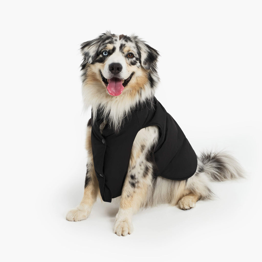 Aigle Pet RainPack Warm