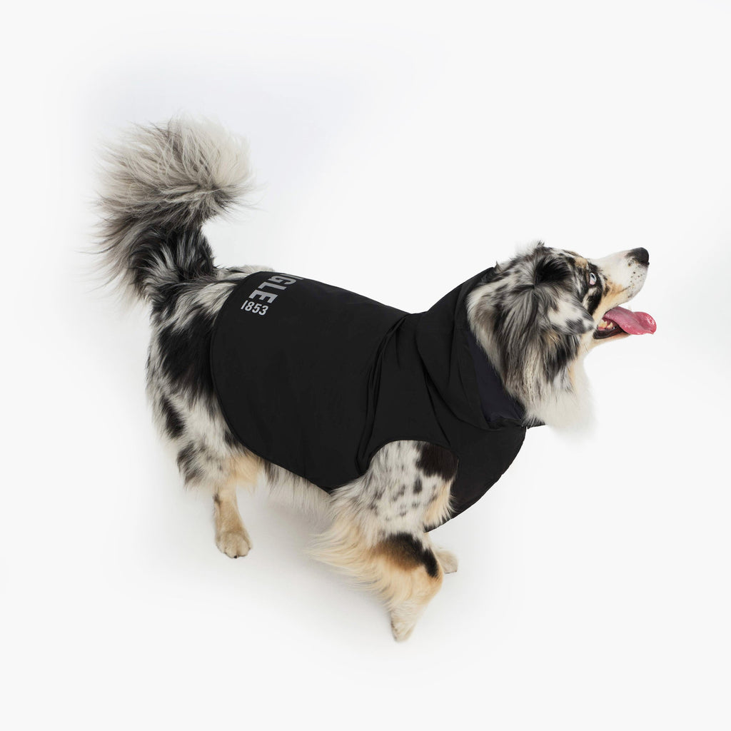 Aigle Pet RainPack Warm