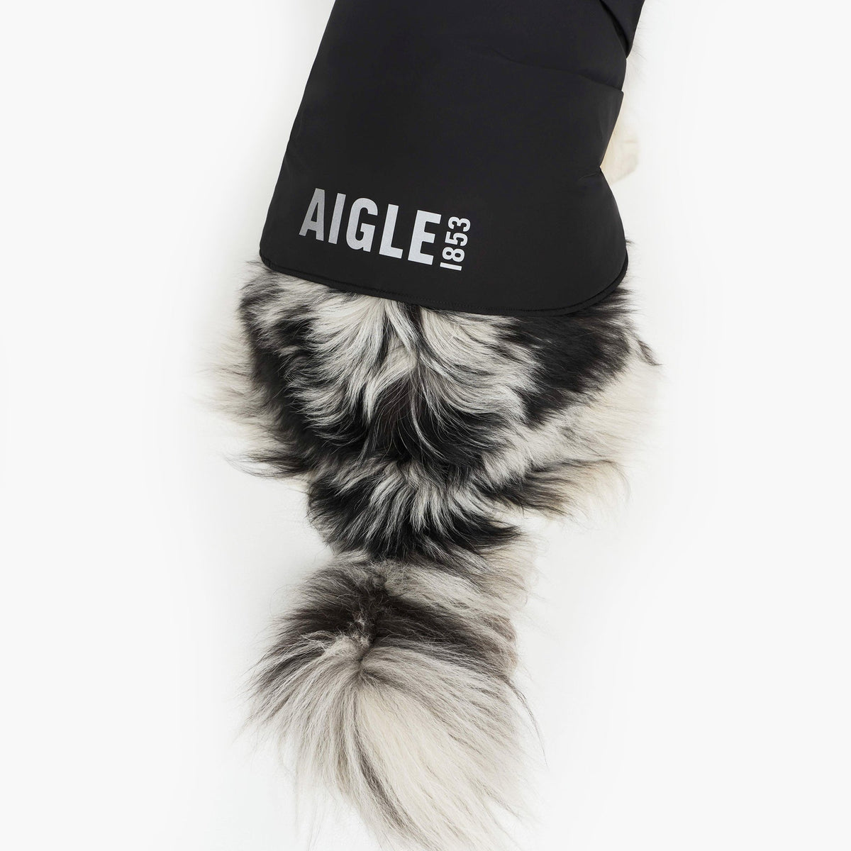 Aigle Pet RainPack Warm