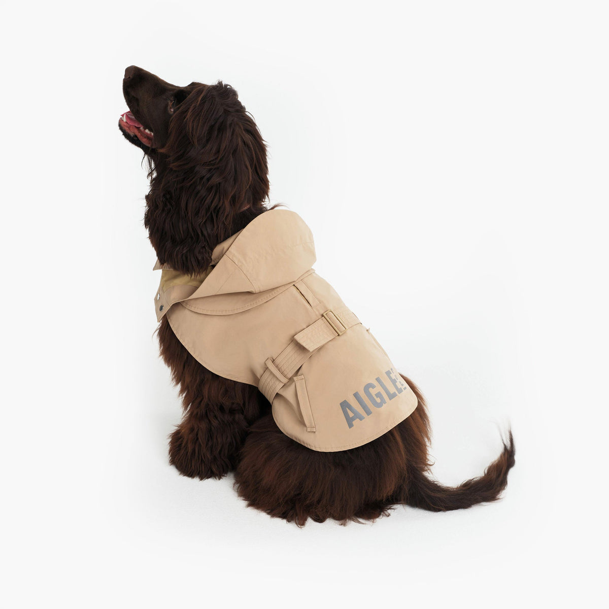 Aigle Pet Trench Coat